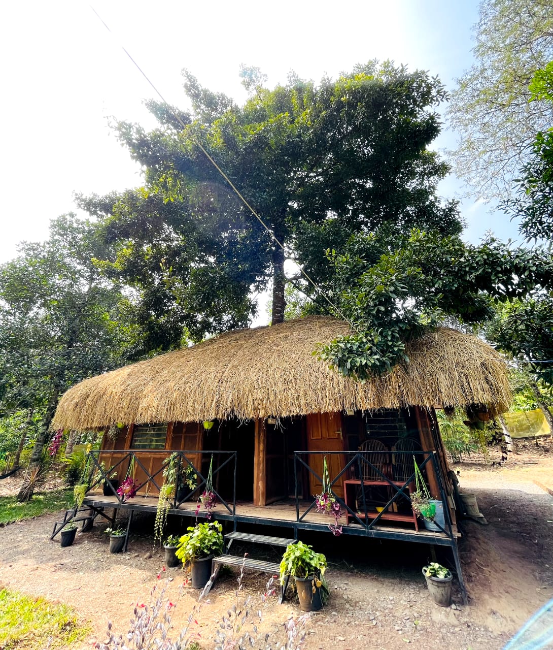 Thekkini HomeStay, Muthanga, Wayanad